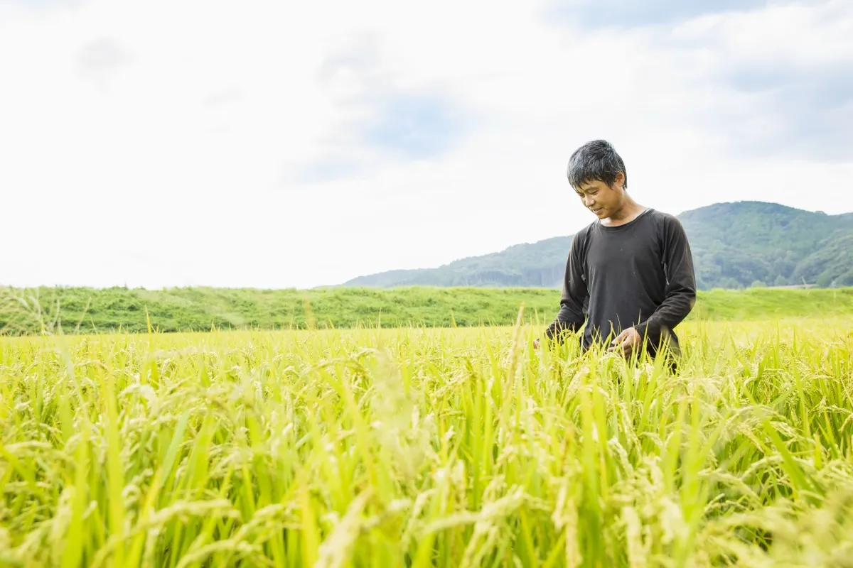唐津の風土と共に